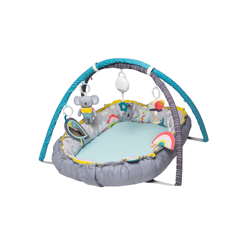 Taf toys musical newborn nest cheap & gym