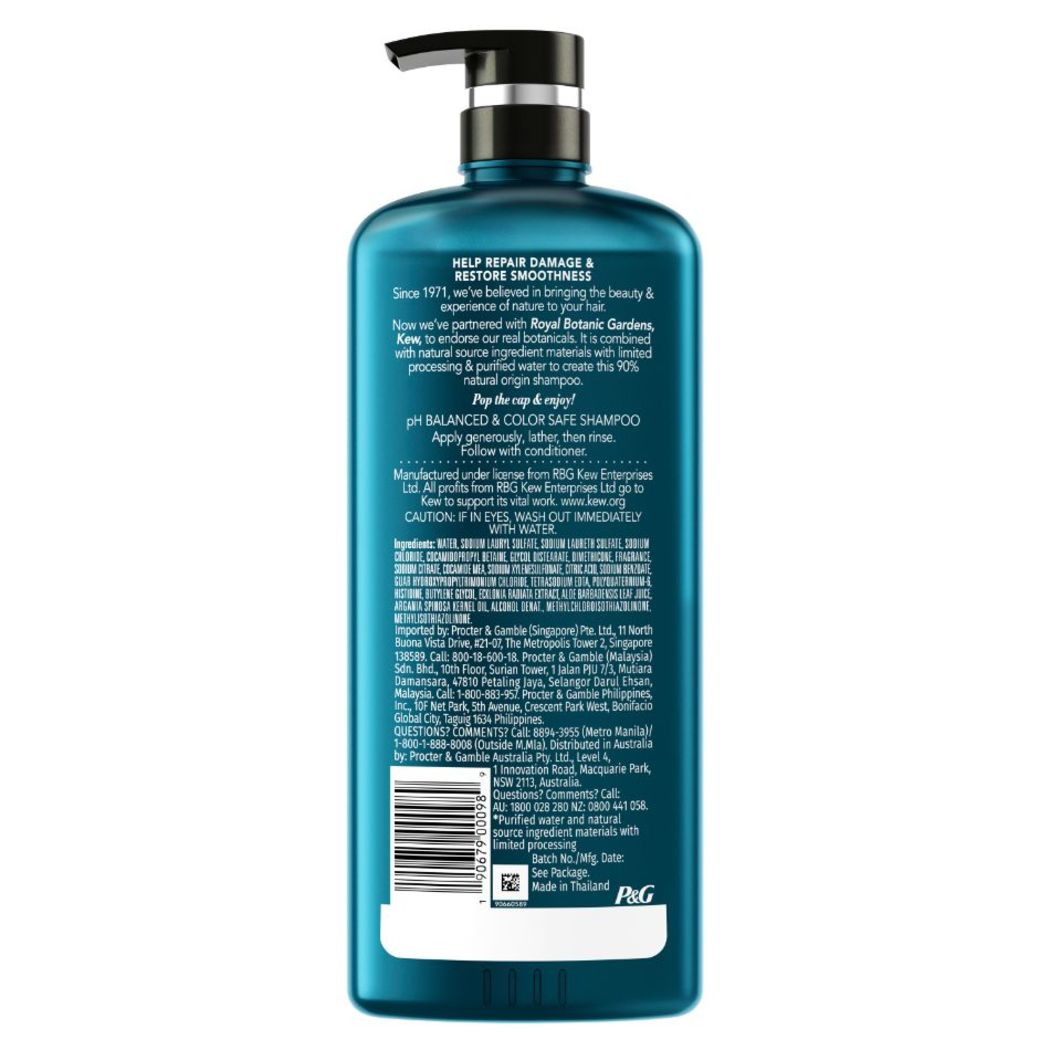 Herbal Essences Bio:Renew Repair Argan Oil Of Morocco Shampoo 600ml ...