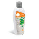 Essential Guardian 3-in-1 Shampoo (Menthol) 350ml