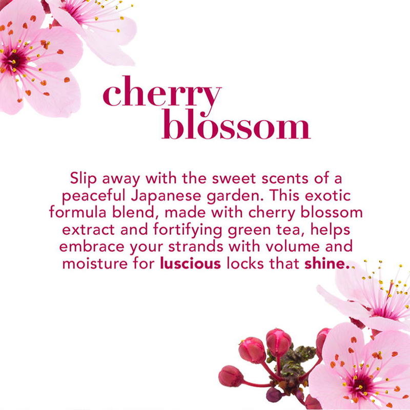 OGX Cherry Blossom Shampoo 385ml