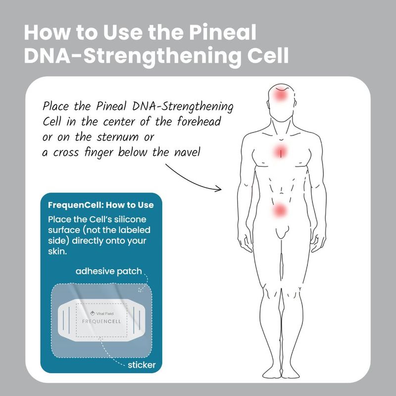 Vital Field Pineal DNA Stengthening Cell