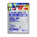 Seisyo Kampo Emu I-Tiao-Gung Pain Relief Patch 10pcs