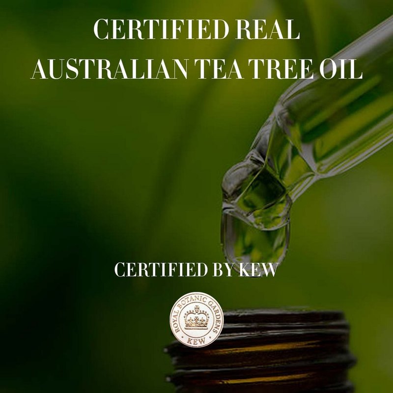 Herbal Essences bio:renew Tea Tree Oil Hair & Scalp Conditioner 400ml