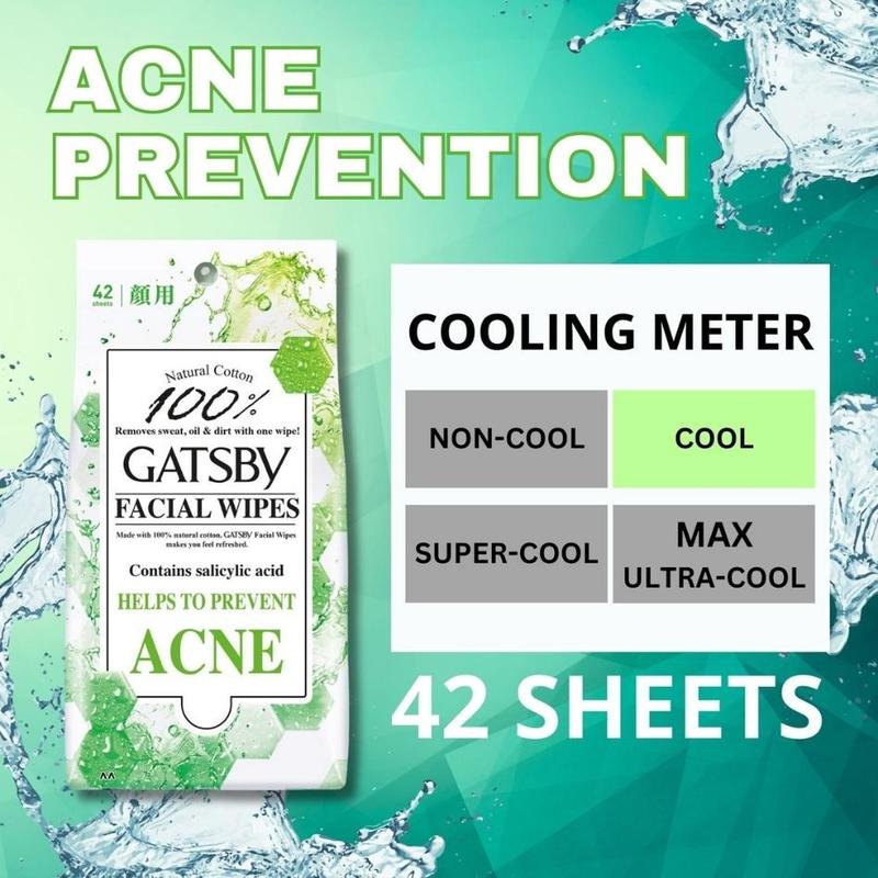Gatsby Facial Wipes Acne Care Type 42s