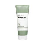 Bring Green Artemisia PH Balance Cleansing Foam 250ml
